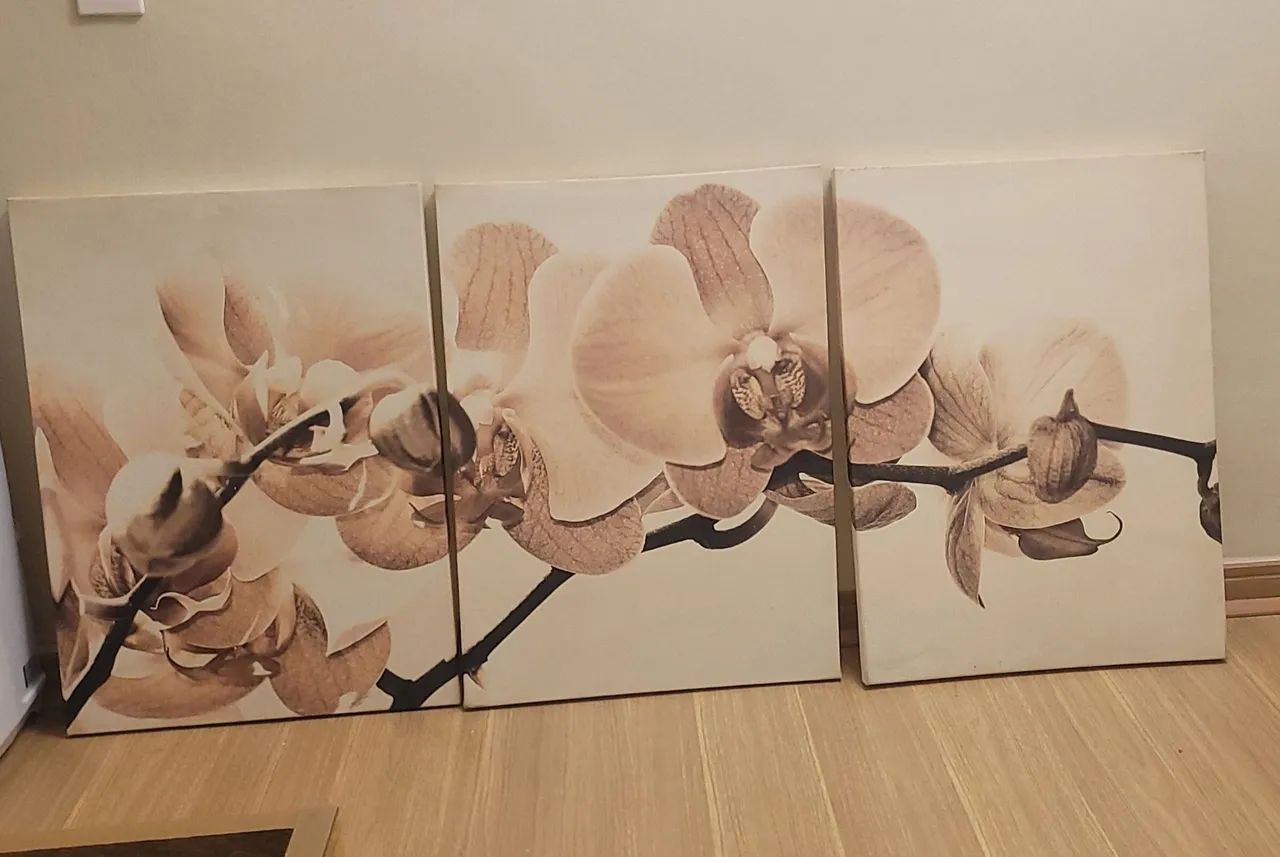 Quadro 3D orquídeas 