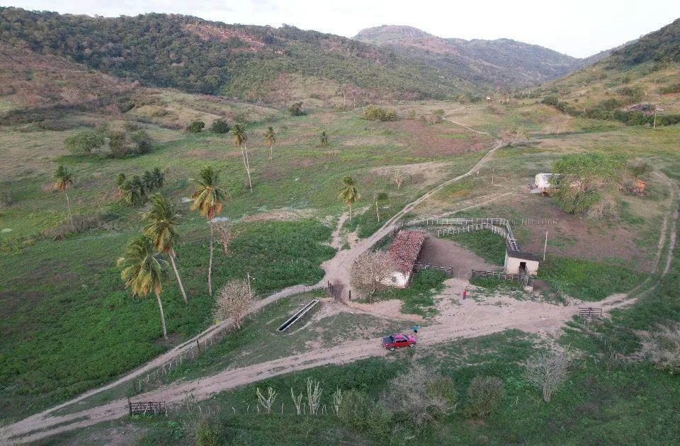 Arrendo fazenda 162 hectares 