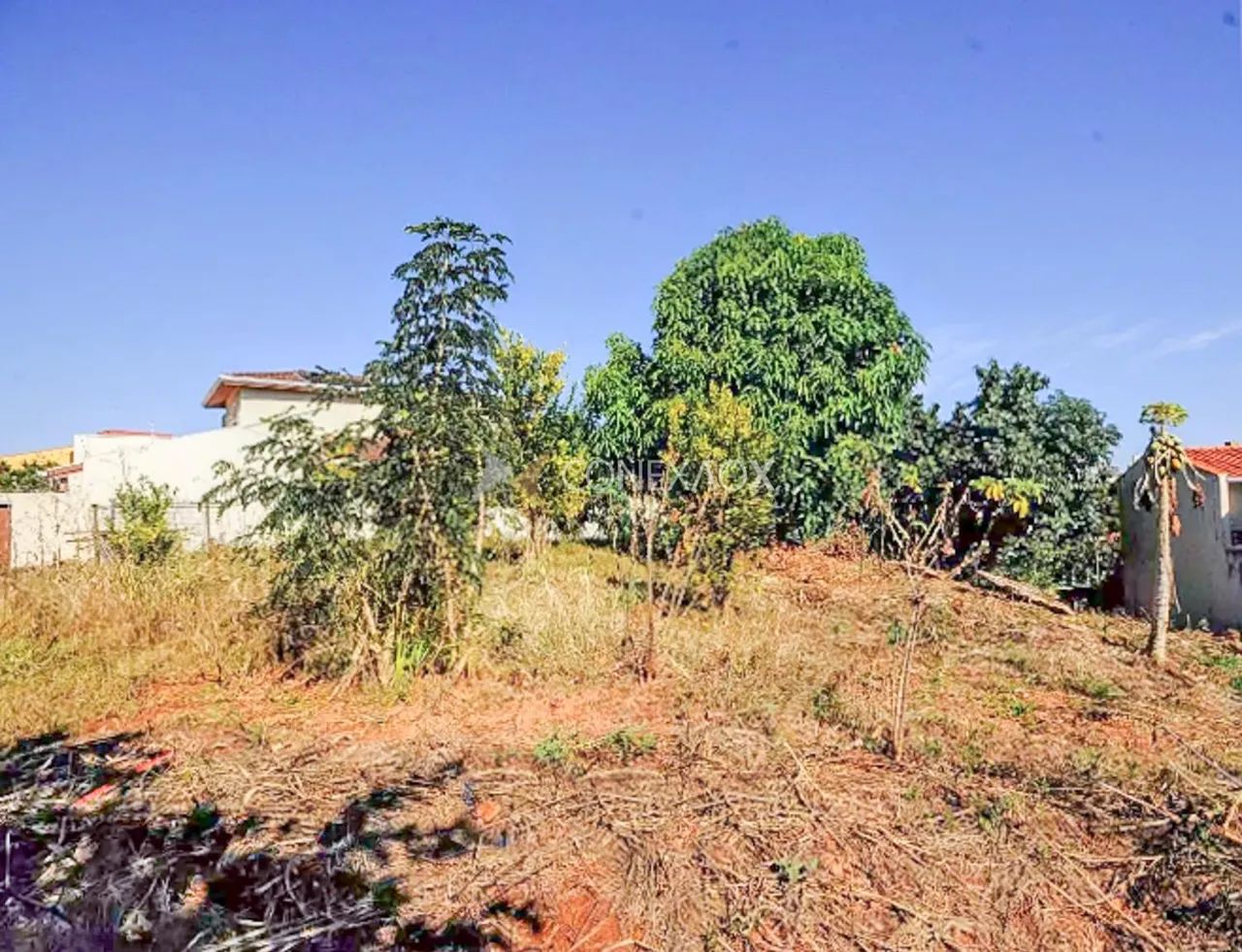 terreno - Jardim Paraíso - Campinas - Foto 4
