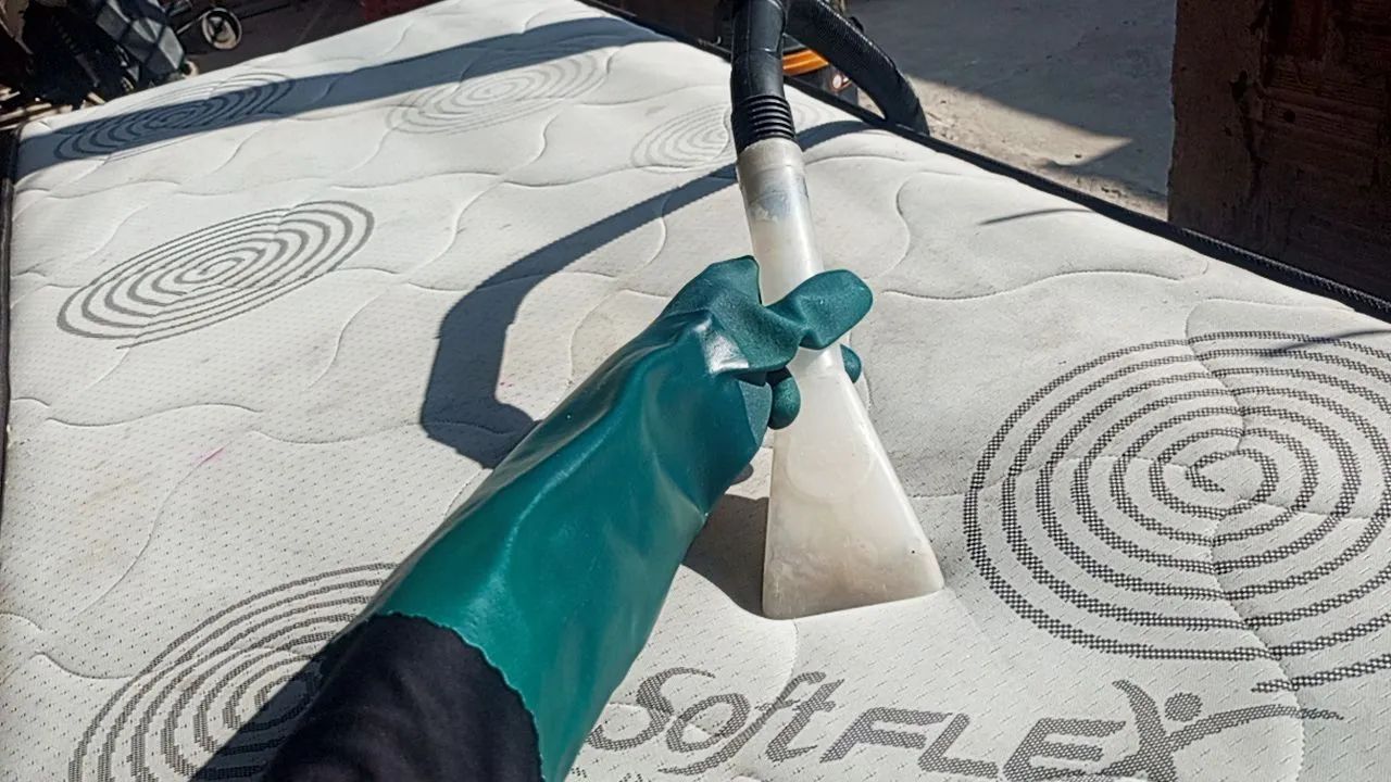 Higienização profissional  - Foto 4
