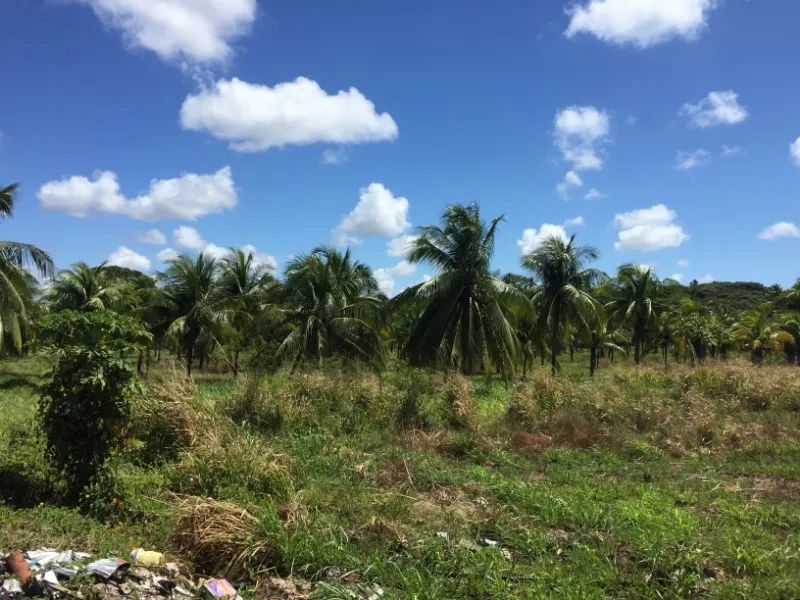 AREA COMERCIAL em CAMAÇARI - BA, CATU DE ABRANTES (ABRANTES) - Foto 3
