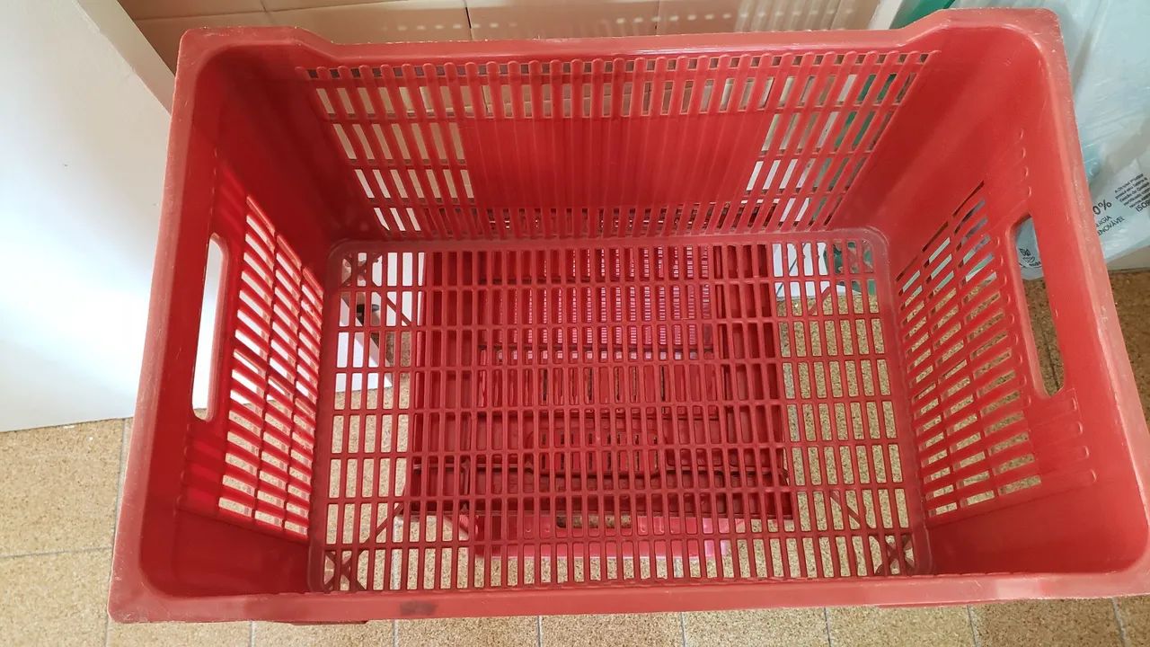 Engradado vermelho - Foto 2