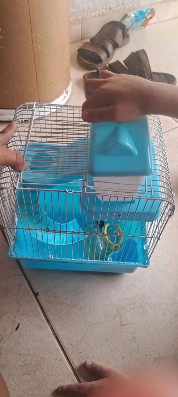 casa de hamster 