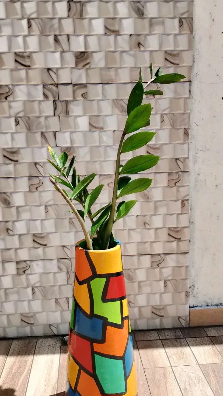 ? Zamioculca Grande c? Zamioculca Grande com Vaso Decorativo Artesanal - 4 Mudas 