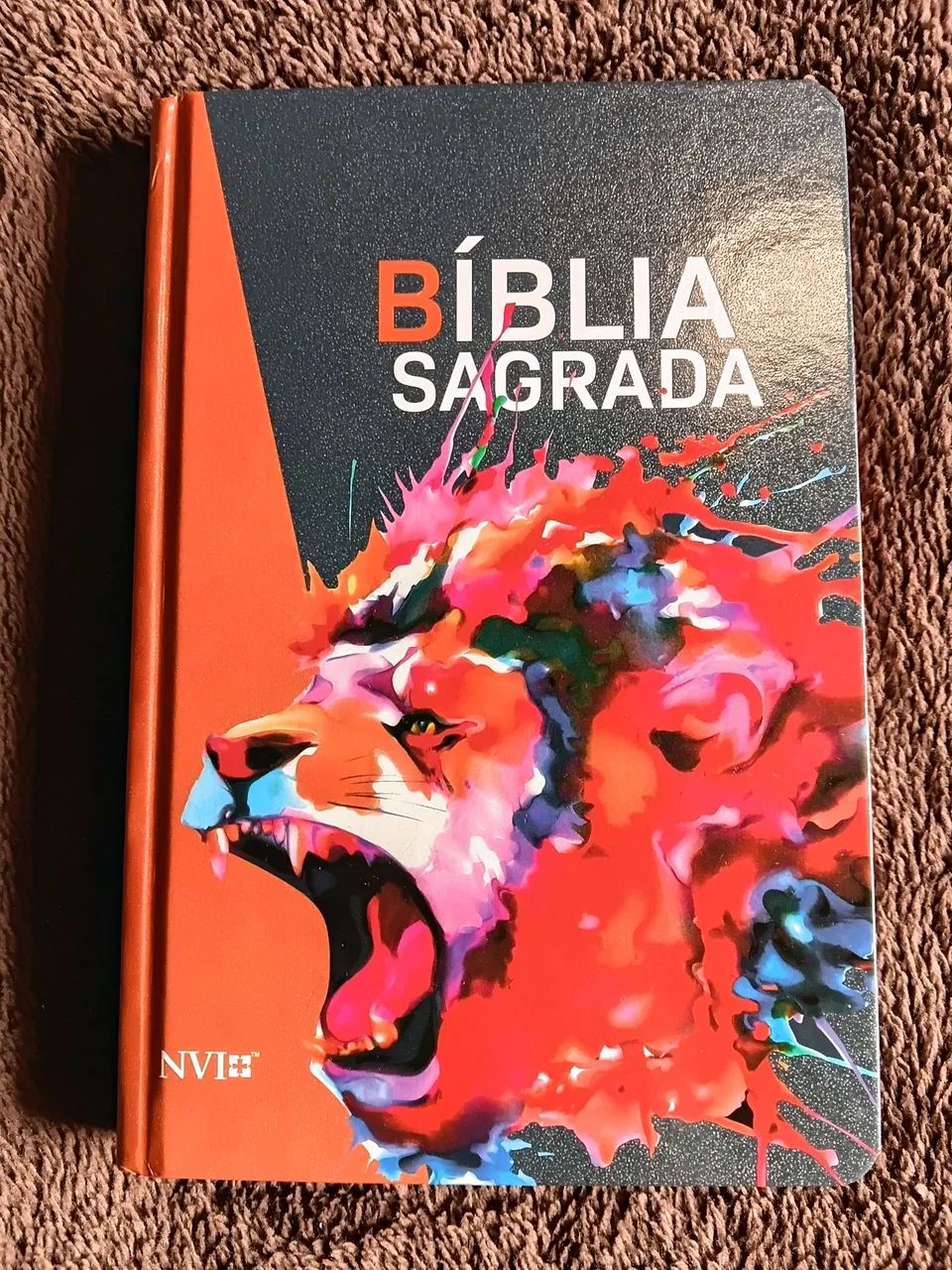 Bíblia Sagrada (Capa Dura)