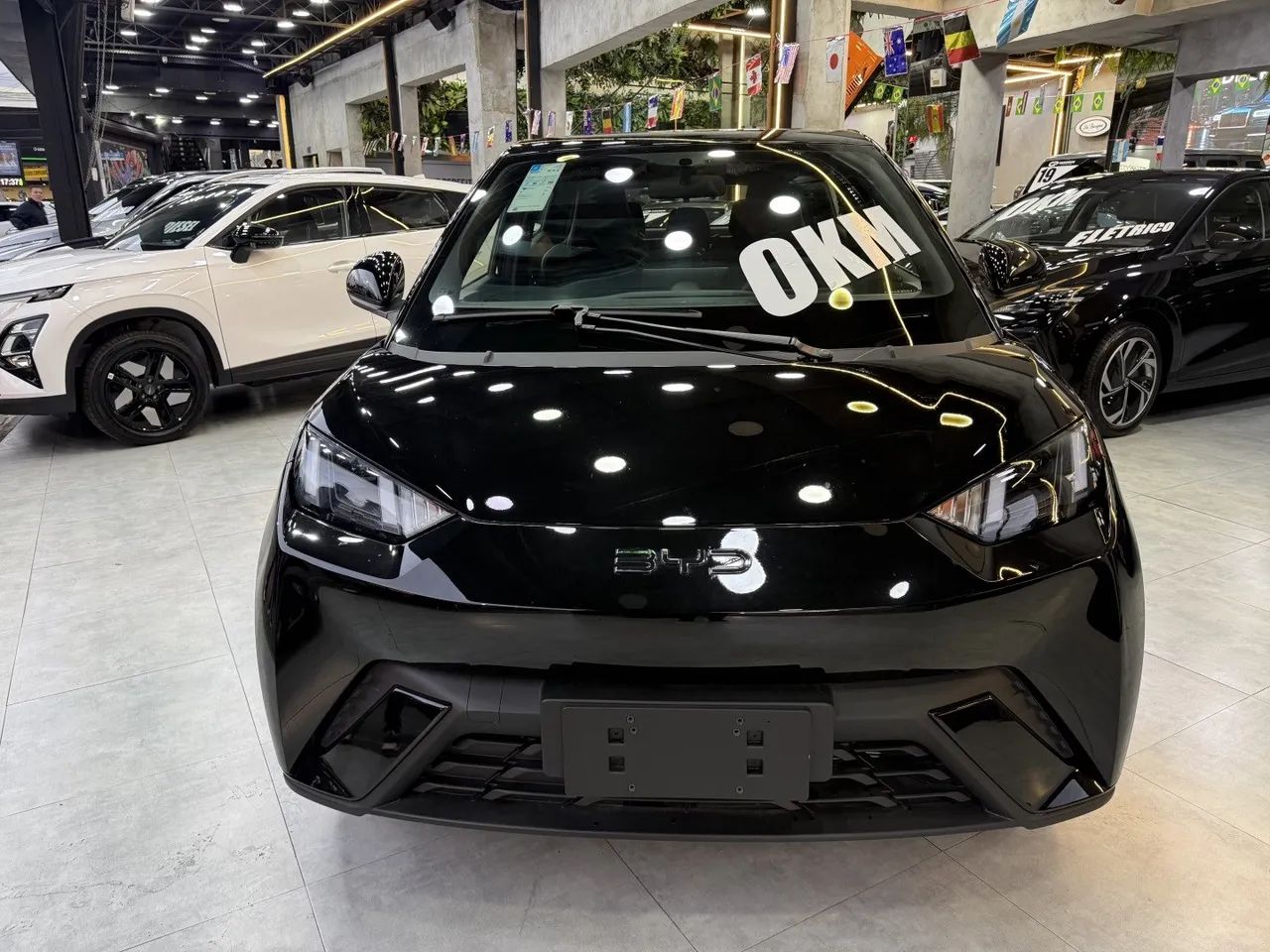 BYD Dolphin EV (Elétrico) 2027 - Foto 2