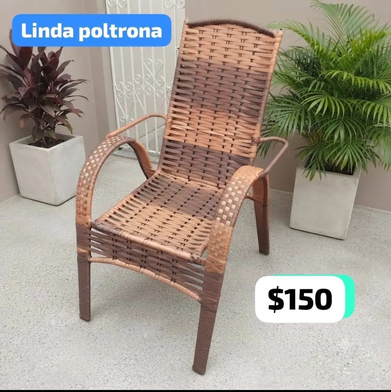 Linda Poltrona novissima