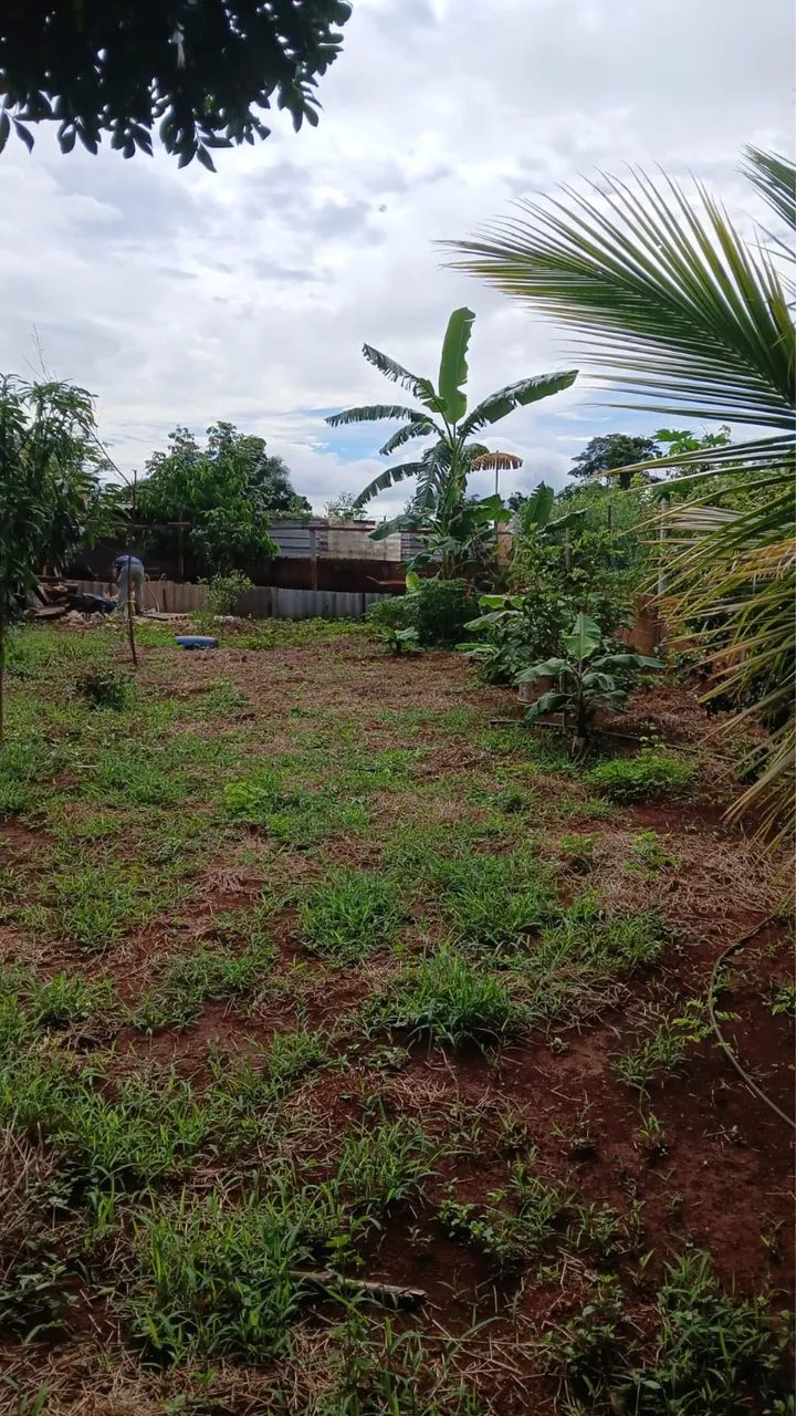 Vendo Chácara no Recanto das siriemas  - Foto 2