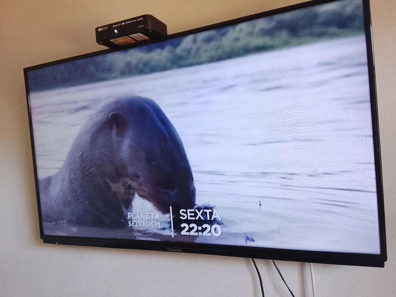 Televisão Panasonic 40 polegadas não e smart mais está zerada e sem controle funciona tudo