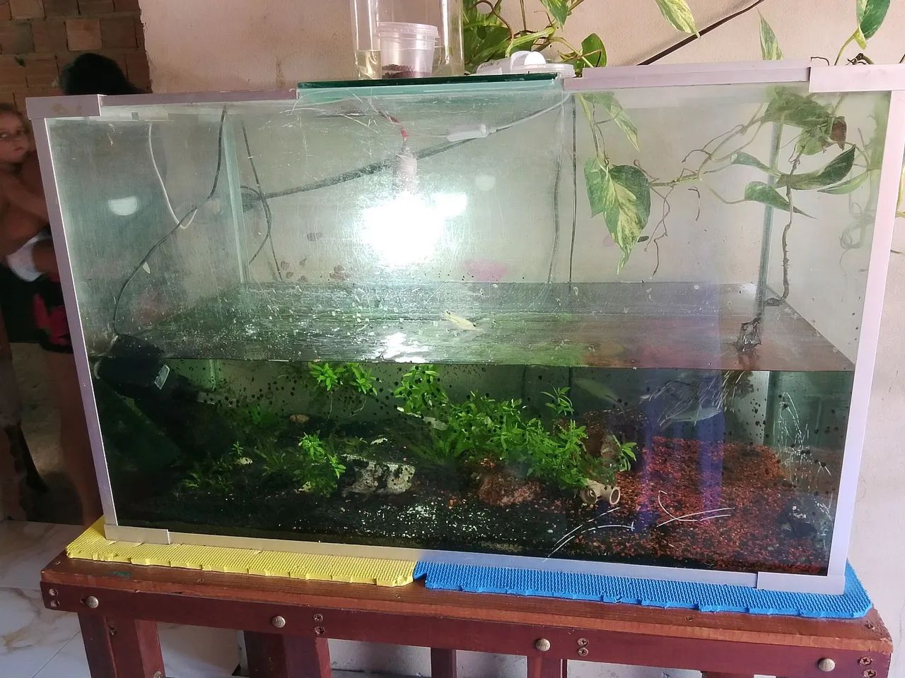 Aquário 300 litros - Foto 3