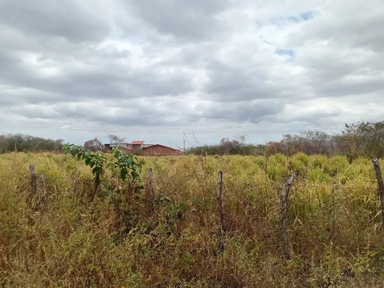VENDO TERRENO EM SITIOS NOVOS CAUCAIA  - Foto 3