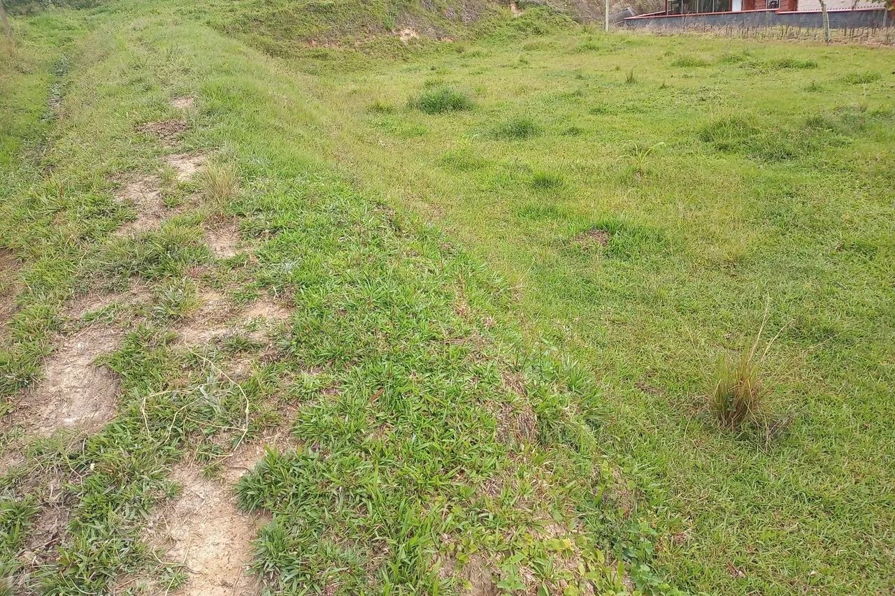 Vendo terreno  - Foto 2