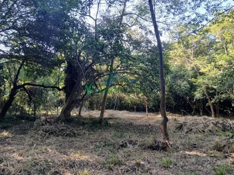 Velleda oferece lindo imóvel comercial no Espigão com 3.200m² e localização estratégica - Foto 3