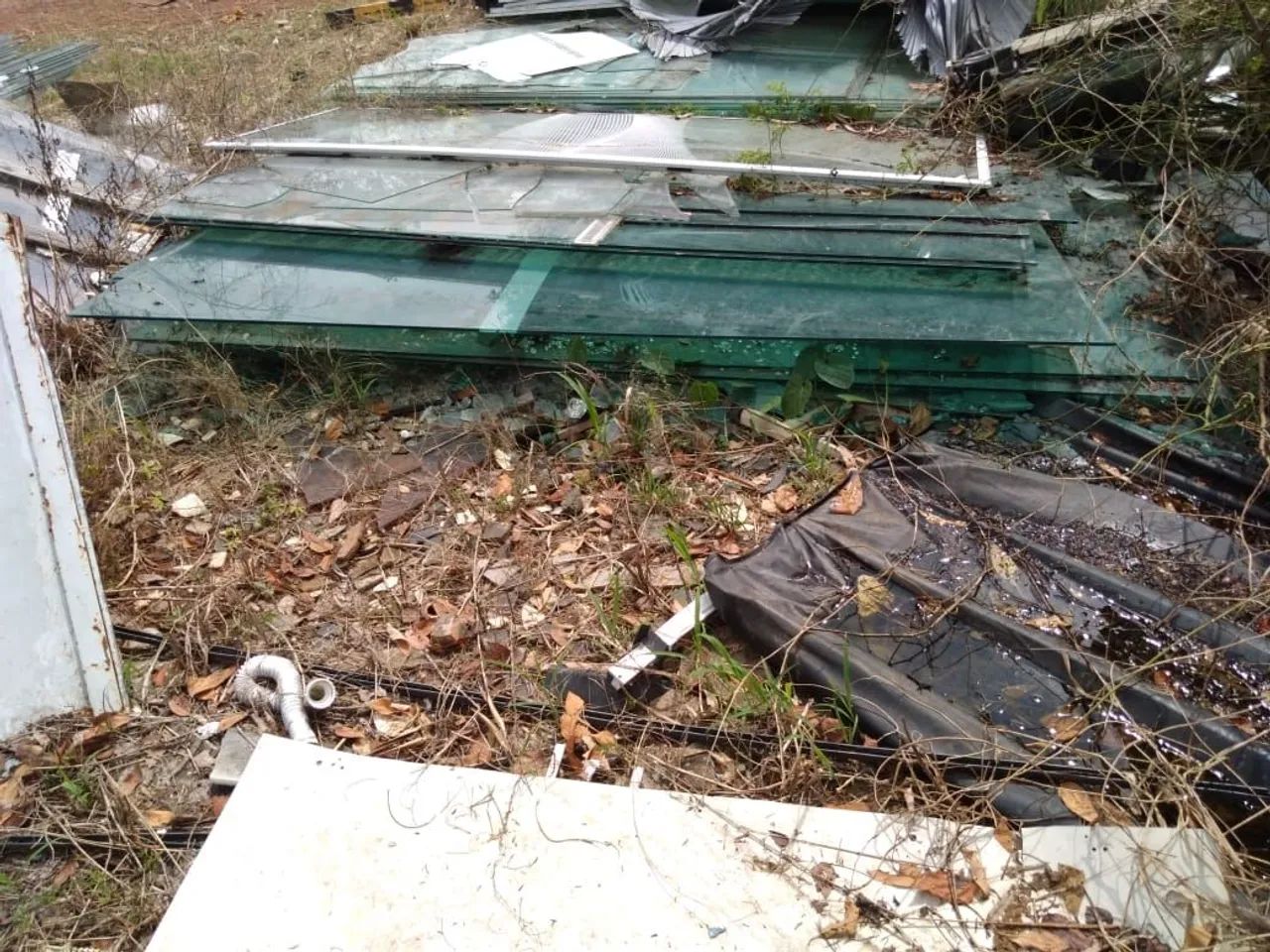 Lote de vidros  - Foto 4