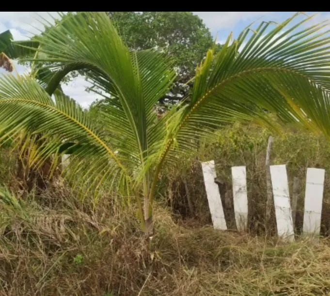Terreno na pirunga capela Sergipe