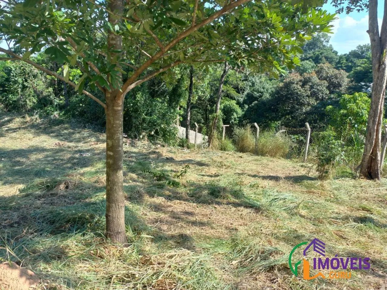 TERRENO - VISTA ALEGRE - SP - Foto 4