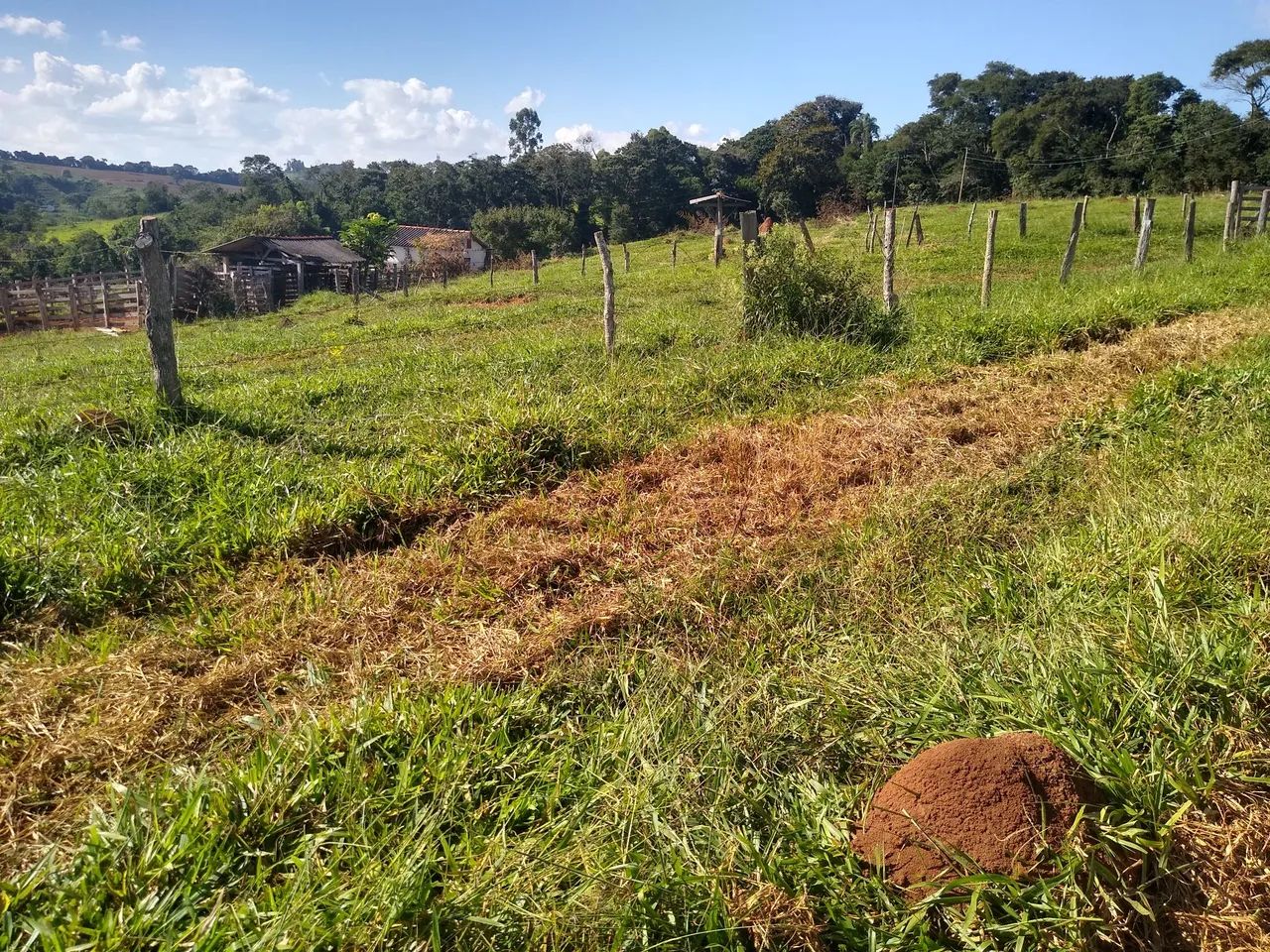 Terreno  - Foto 2