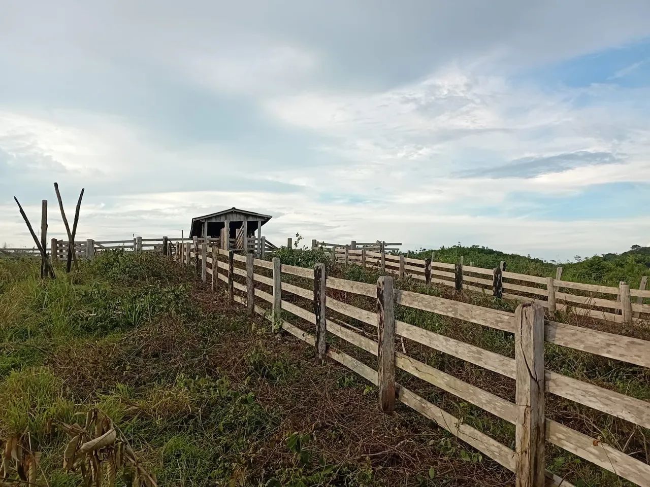 Fazenda no Apuí  - Foto 4