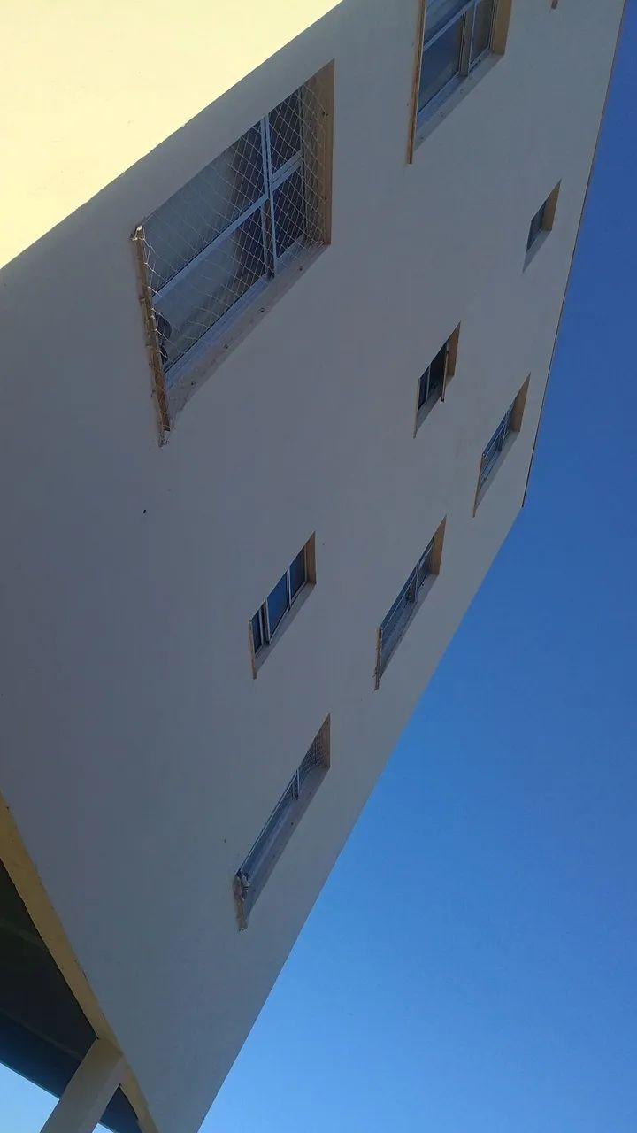 Pinto  - Foto 3