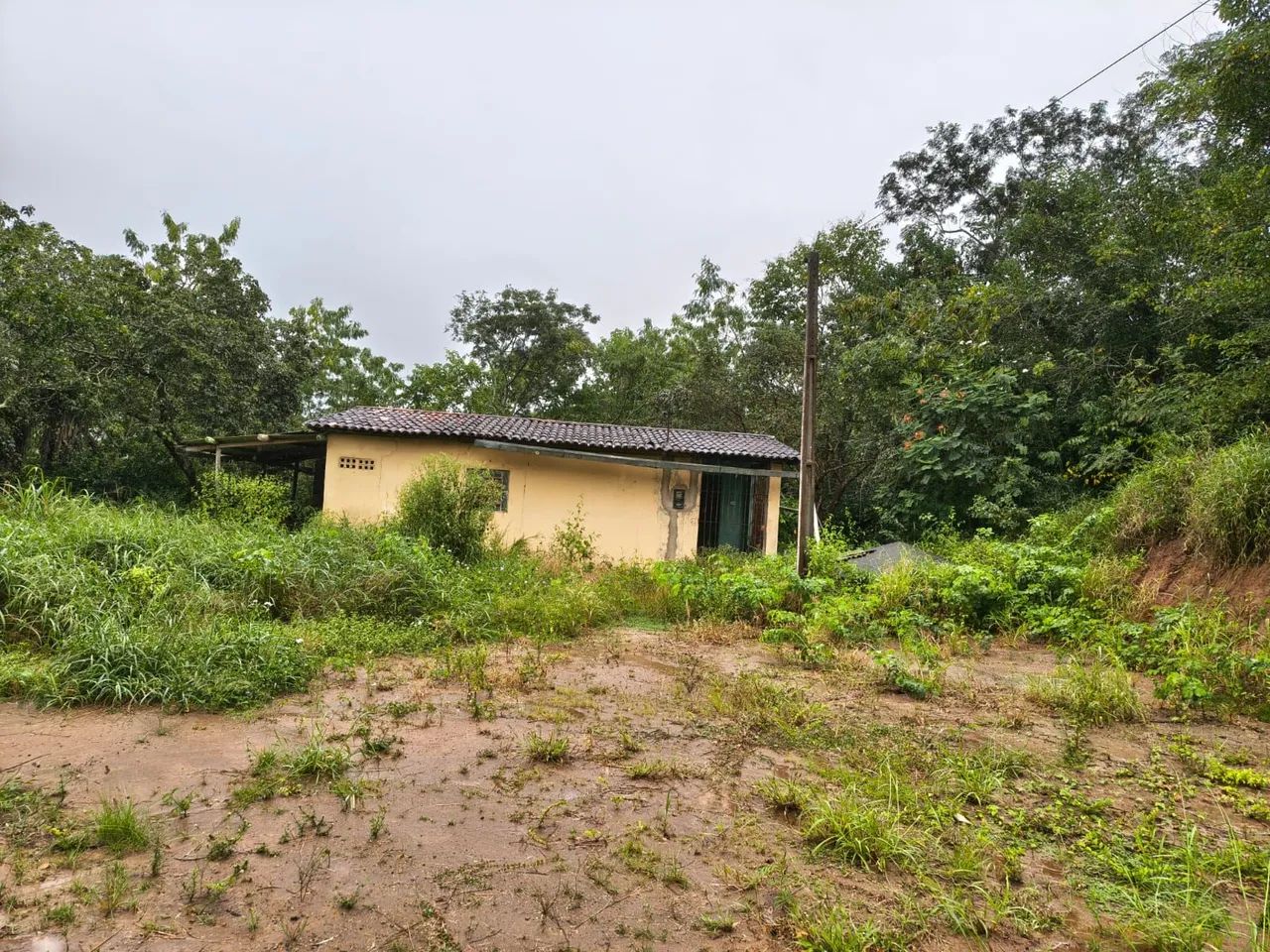 Vende-se sítio em Feira Nova Pernambuco. - Foto 2