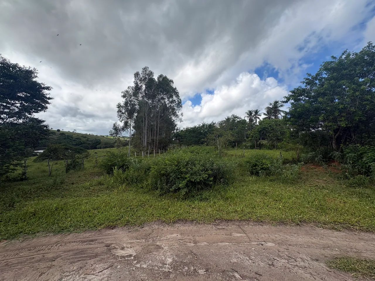 Foto - Cachoeira - 