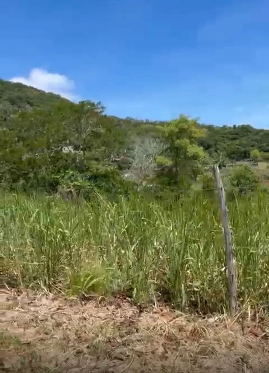 Foto - Rio de Janeiro - Recreio dos Bandeirantes