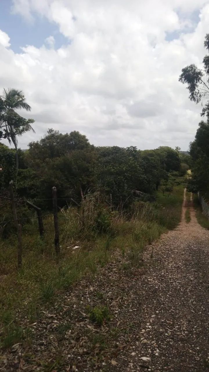 TERRENO NO POVOADO SÃO JOSÉ - Foto 2