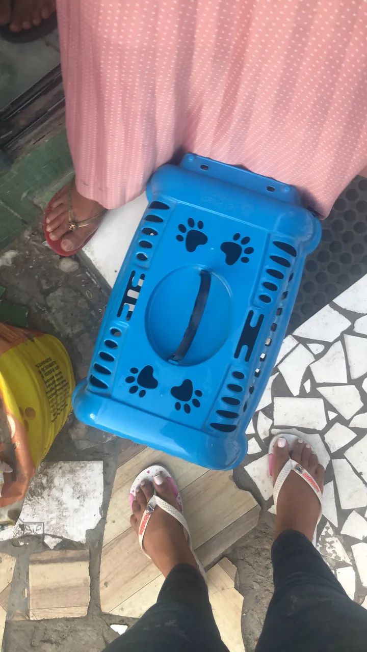 Caixa De Transporte Para Cães e gatos  - Foto 2