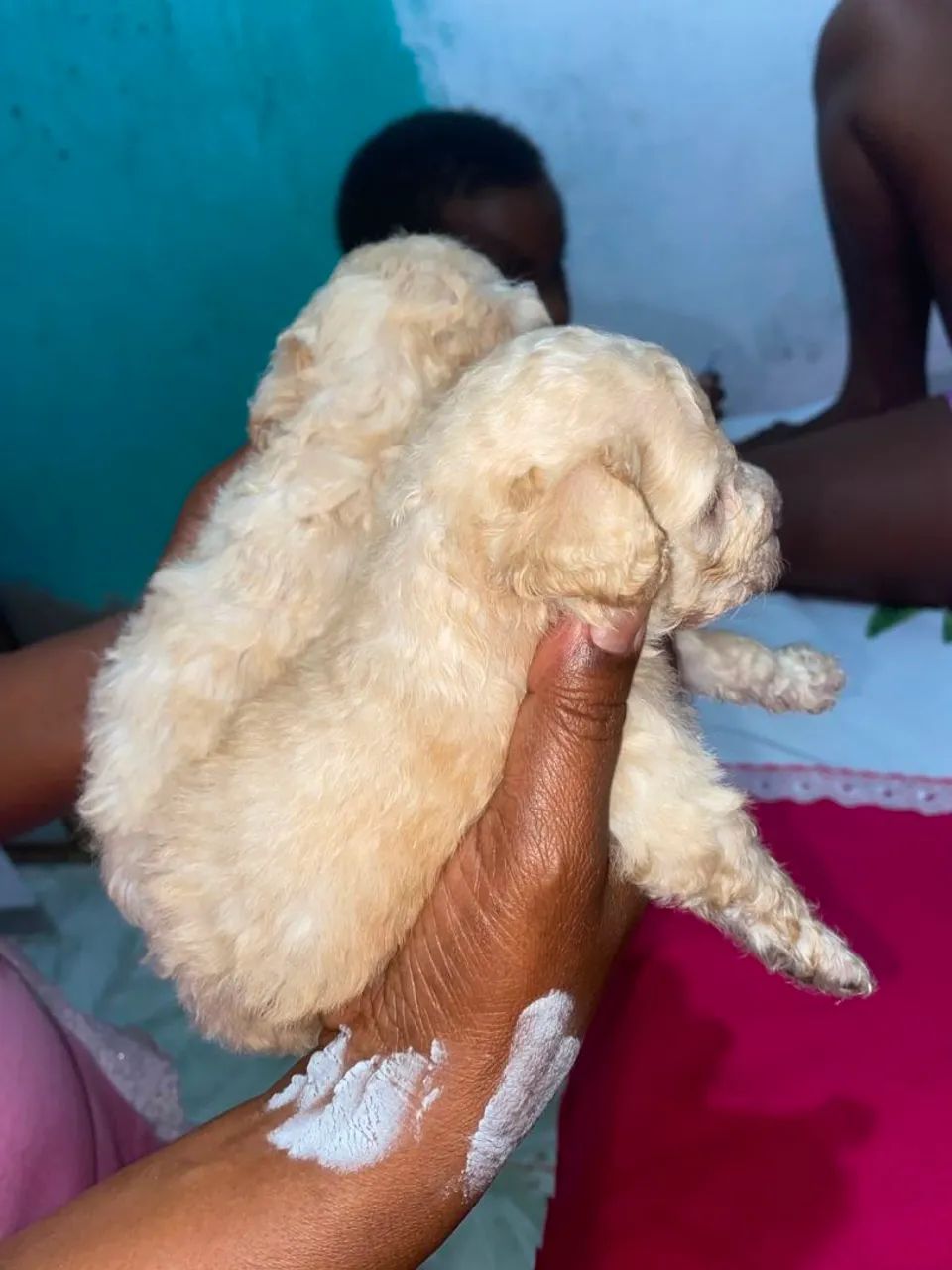 Vendo no precinho  - Foto 3