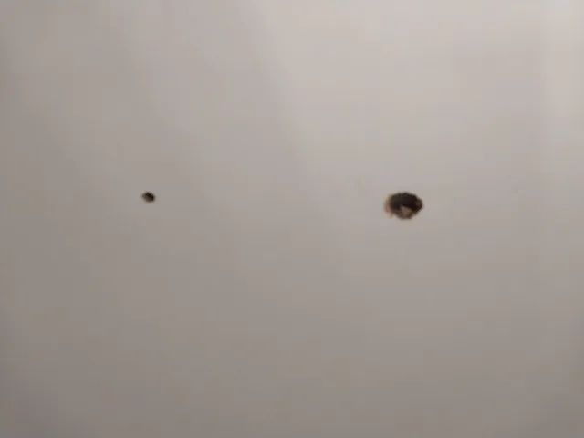 Berço com três opções de altura (vira mini cama), e colchão hipoalergênico/impermeavel  - Foto 5