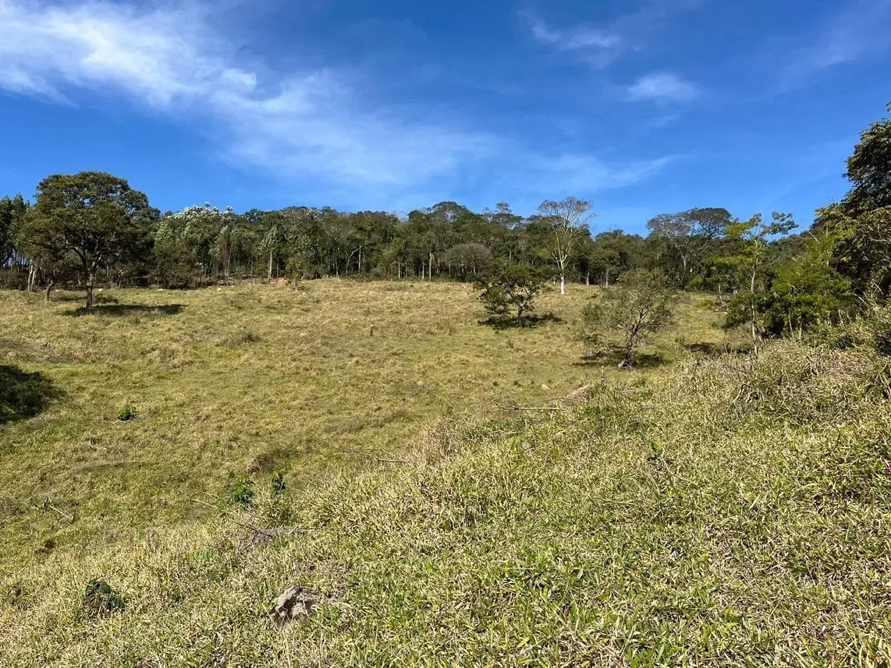 Terreno  a venda  direto com proprietário - Foto 2