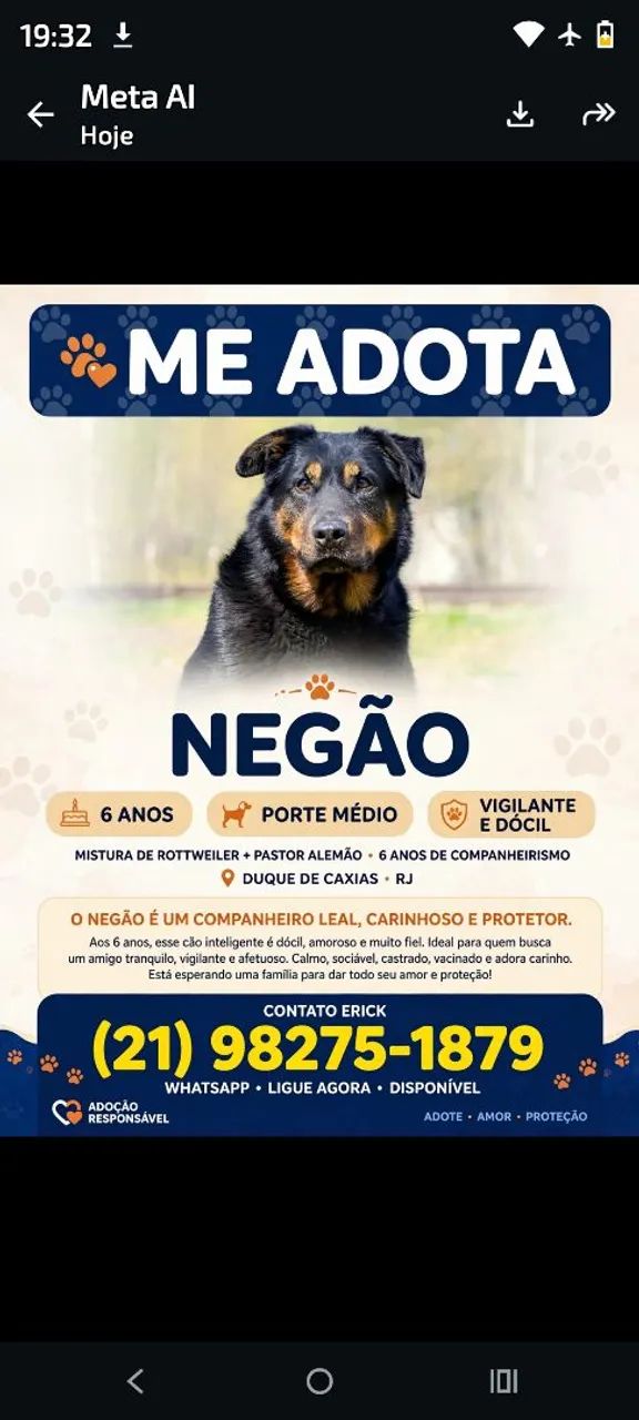 doação de cachorro 