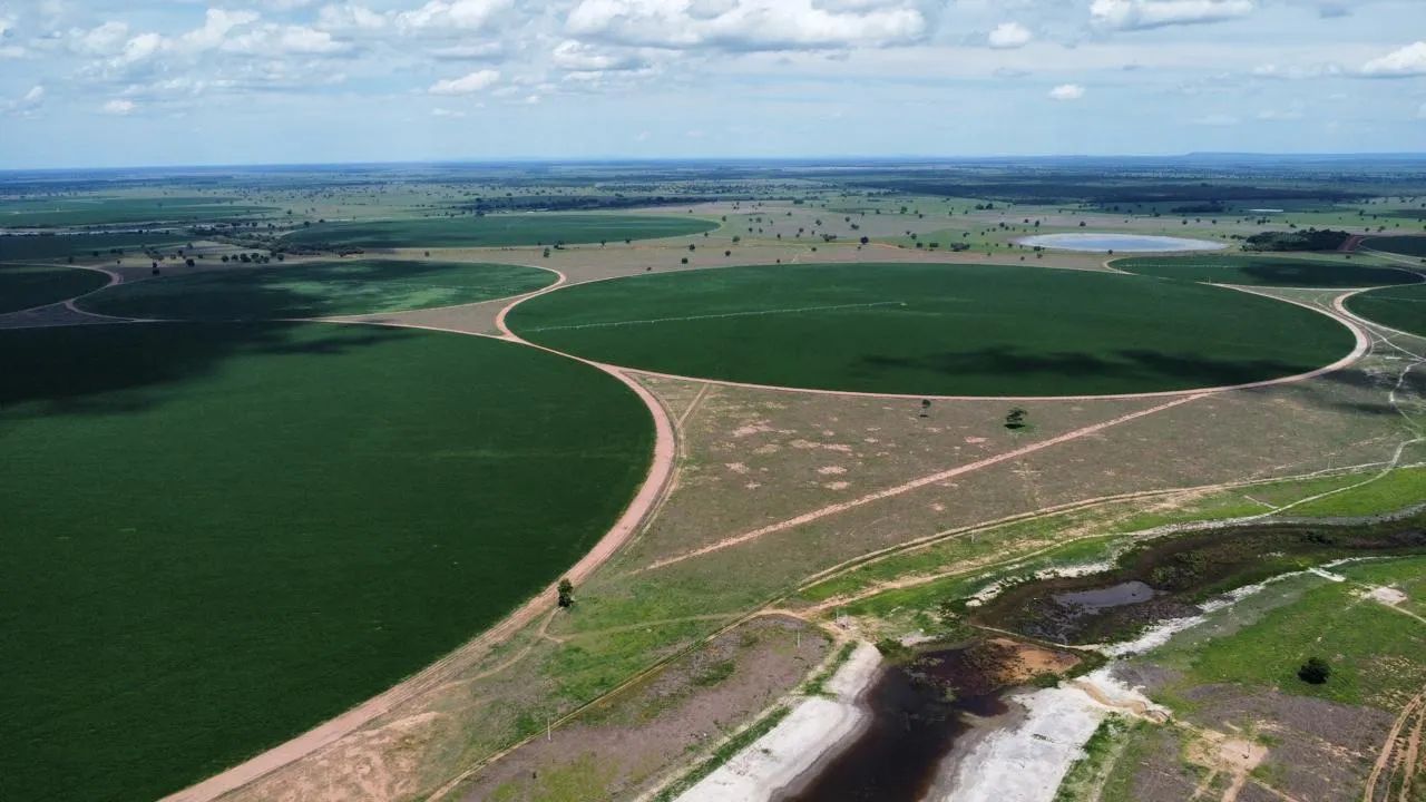 Fazenda Jussara Goiás  - Foto 2