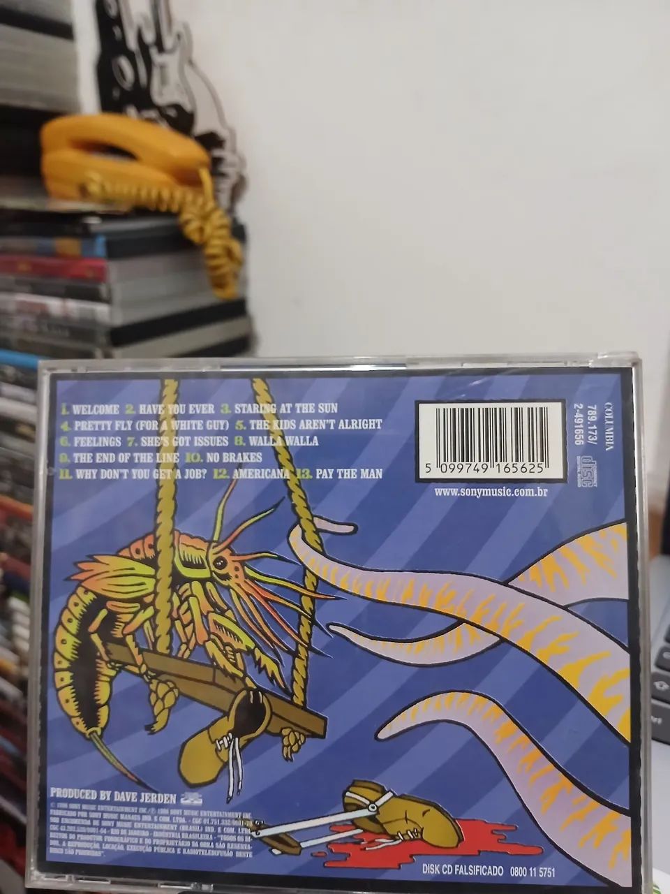 Cd's The Offspring e Foo Fighters - Foto 5