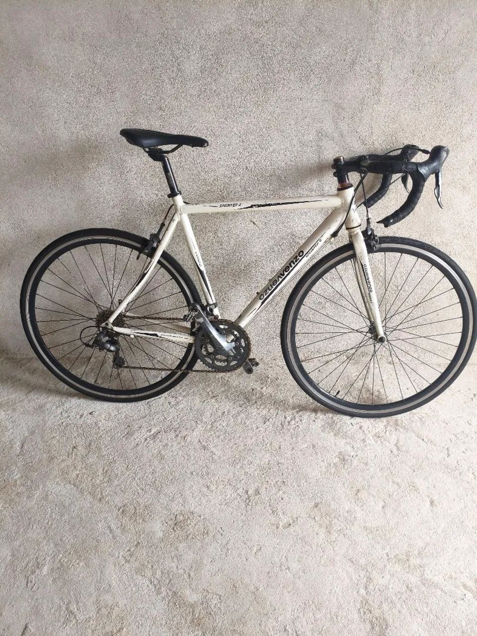 Bike Speed 
