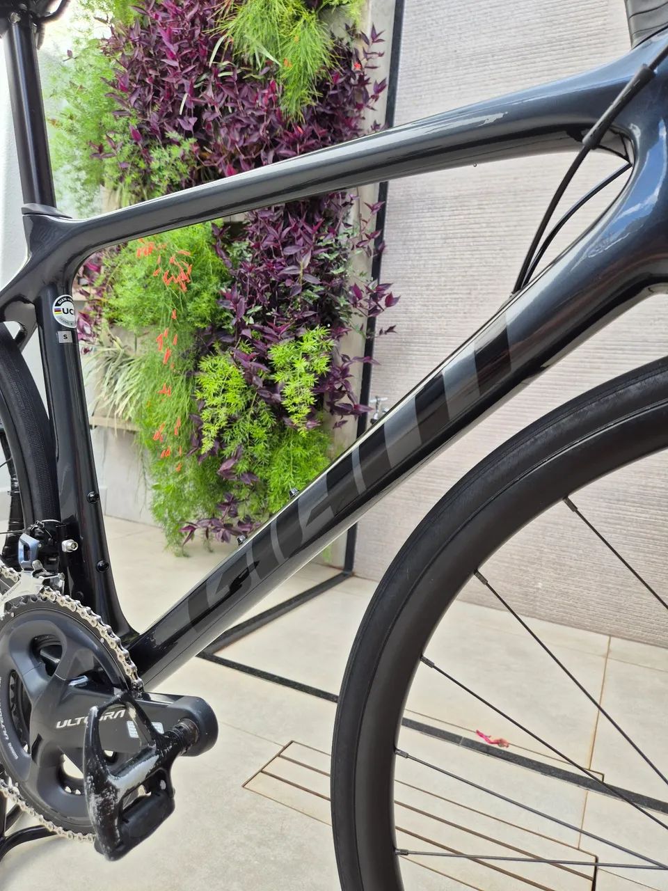 Speed Giant TCR - Foto 4