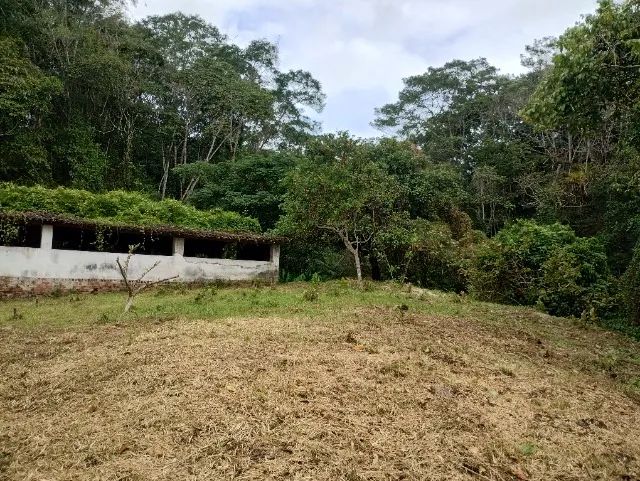 chacara com terreno de 59000m2 em aldeia camaragibe - Foto 2