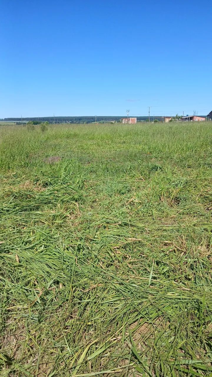 Chácara 5000 m² 100% plana  - Foto 3