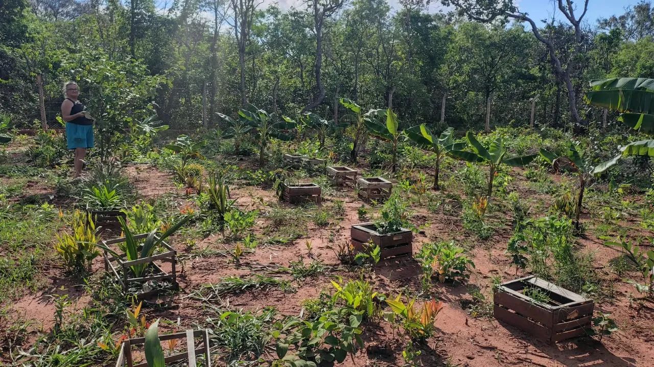 Vendo terreno em rochedinho  - Foto 3
