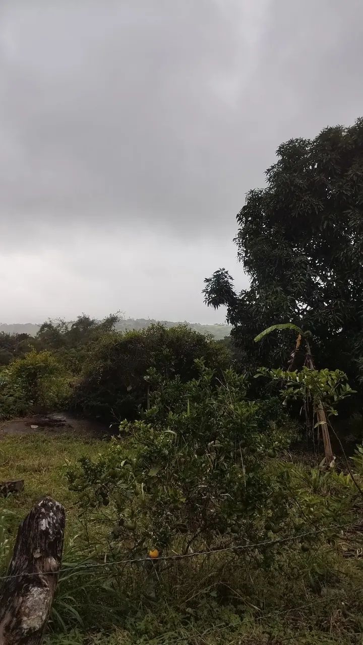 Sítio em Alagoa Nova as margens do Asfalto  - Foto 5