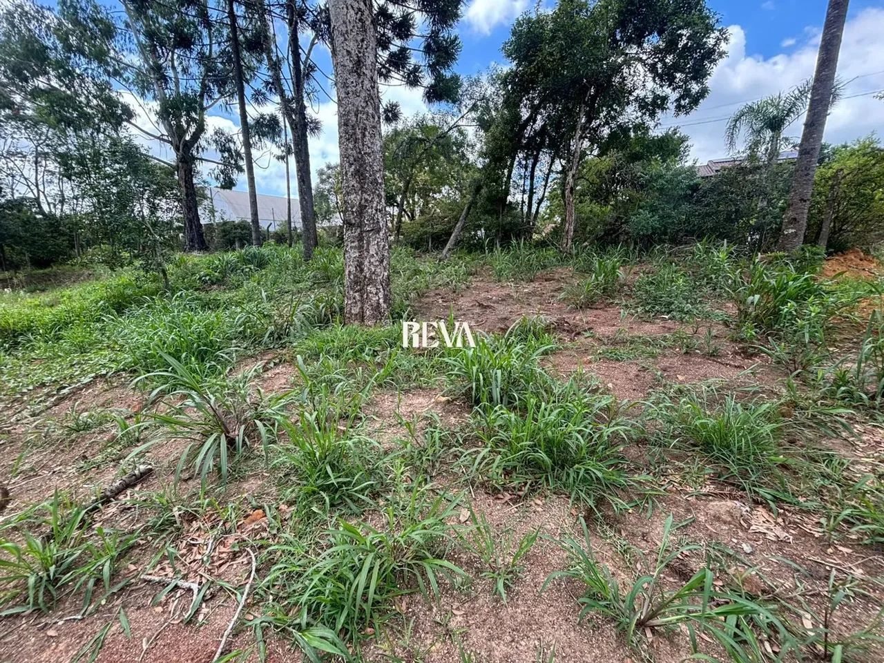 Terreno com 652,04 m² - Foto 8