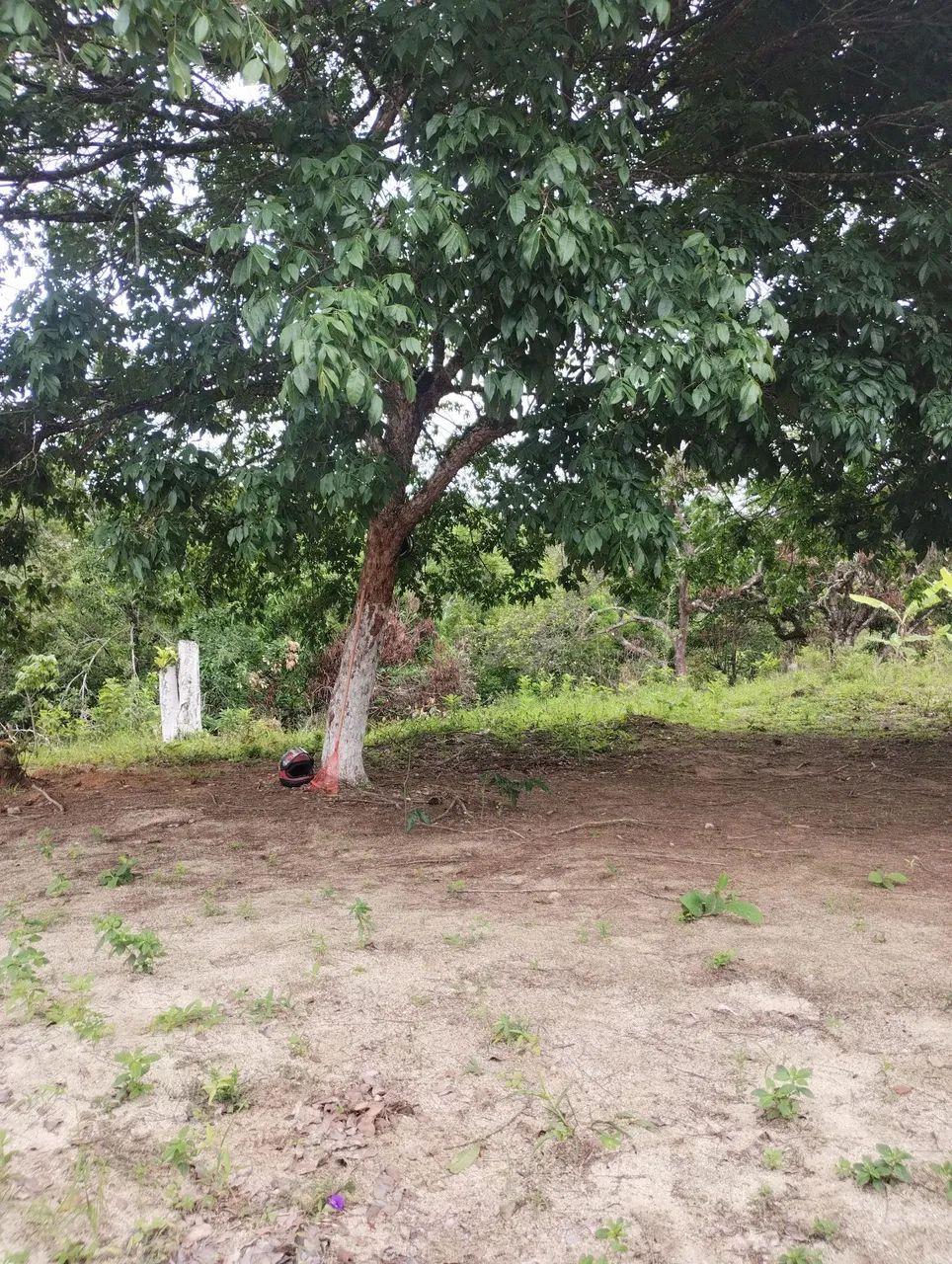 2 lotes 11x50 planos