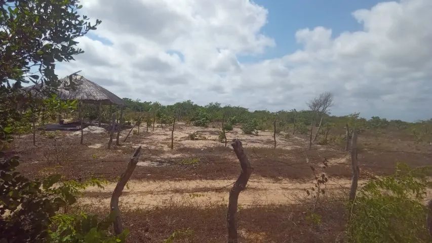 Terreno em Barreirinhas MA - Foto 4