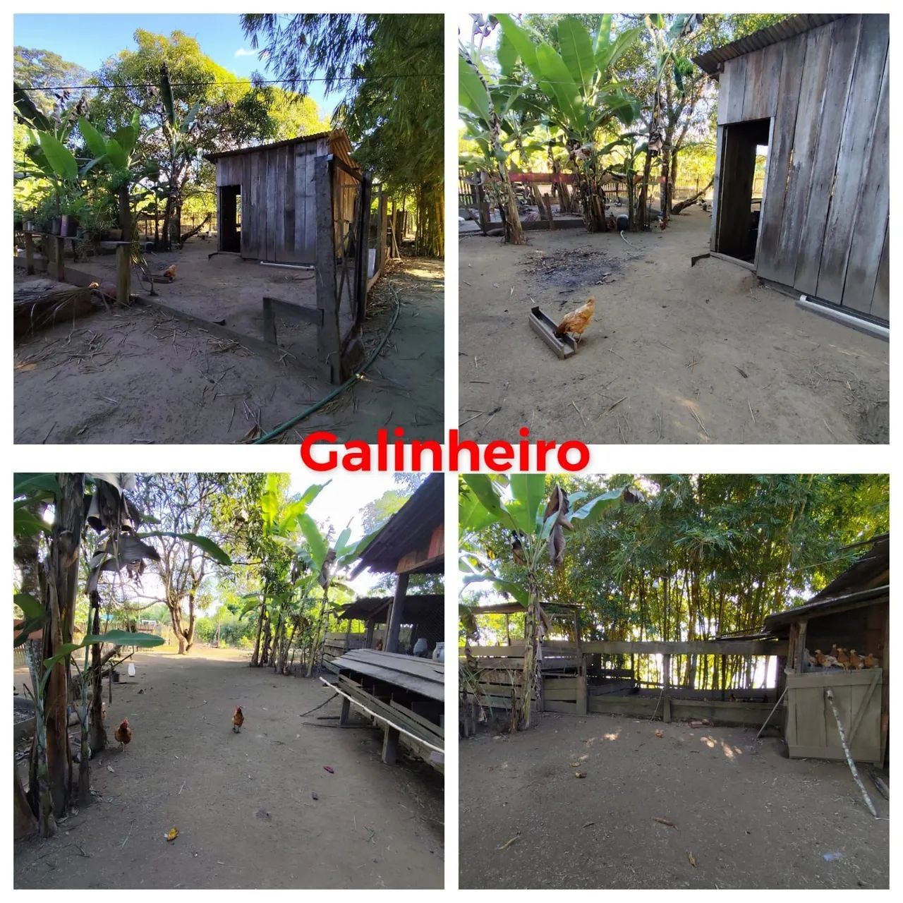 Vende-se Sítio  - Foto 5
