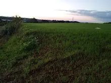 Terrenos em Contenda PR,  - Foto 2