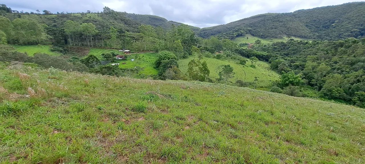 Chácara em Liberdade com 7ha - Foto 3