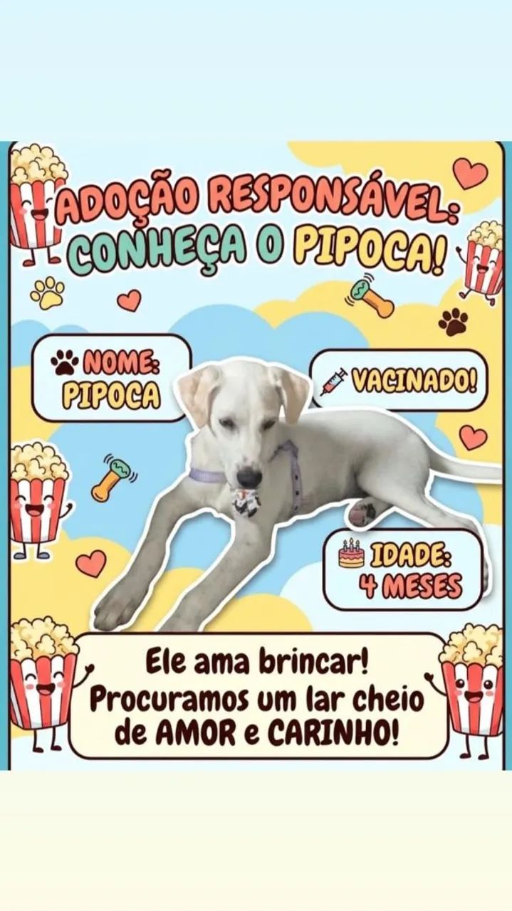 Doacao de um cachorro