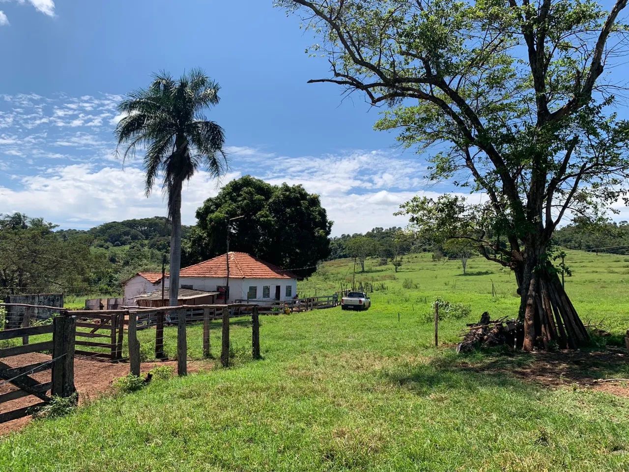Fazenda dupla aptidão próximo Uberlândia  - Foto 2