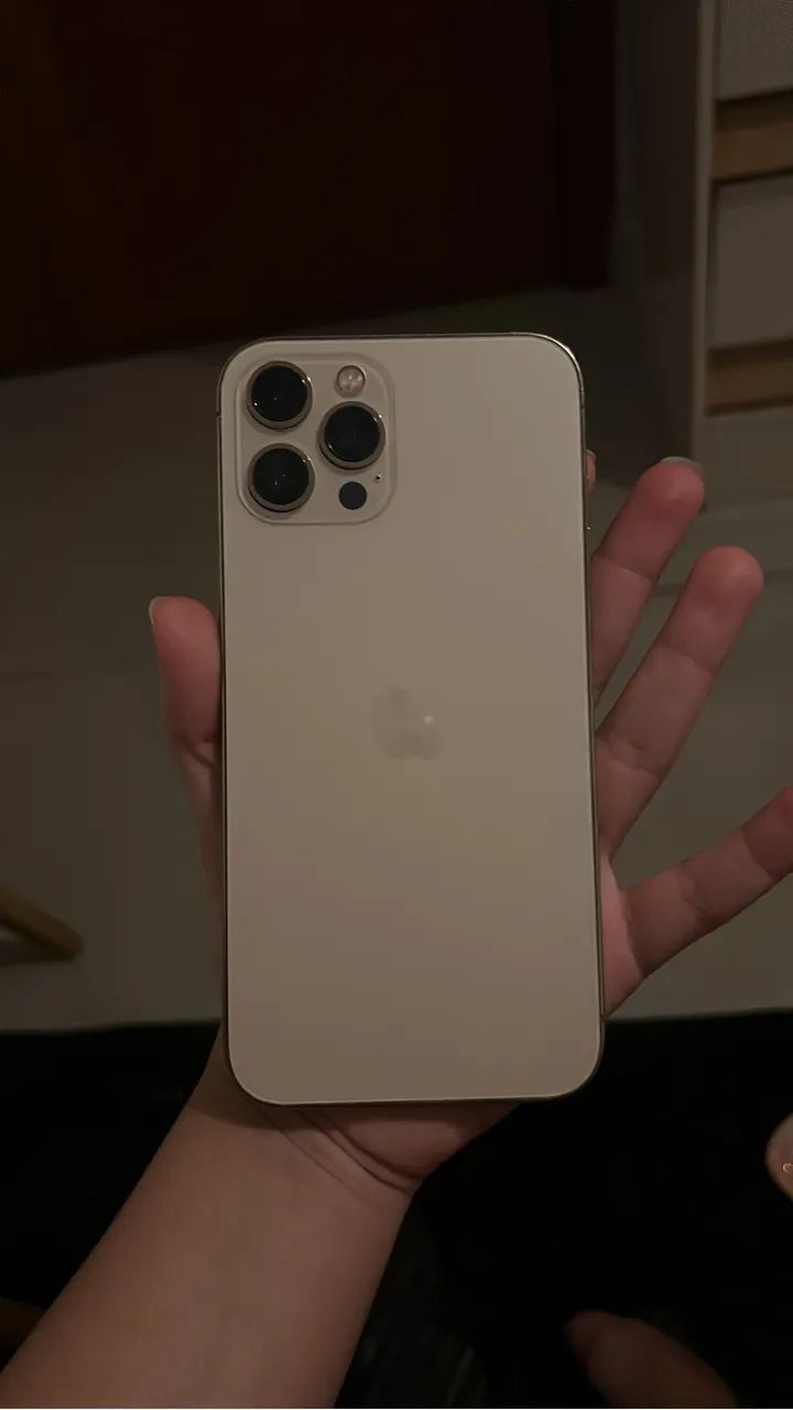 iPhone 12 Pro Max 