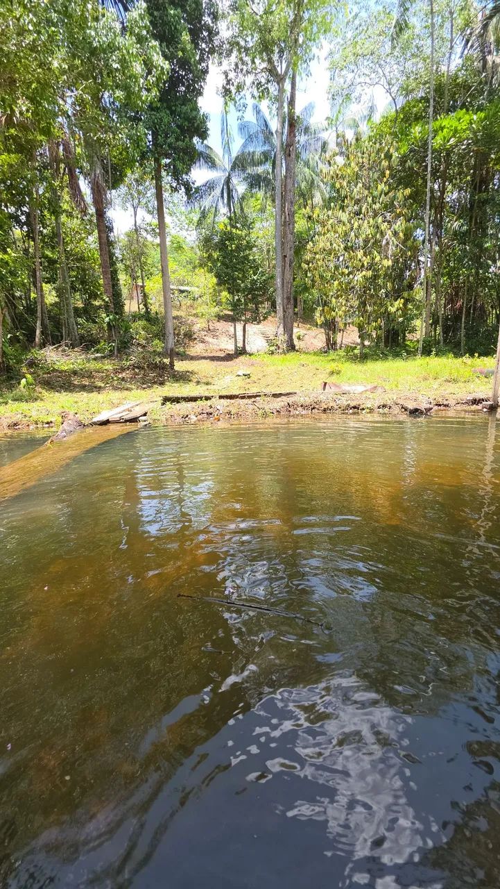 Sitio  no  Ramal  castanheira 